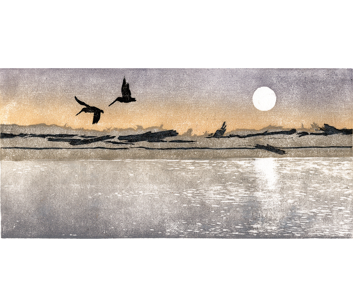 “Coast” - Kristen Etmund